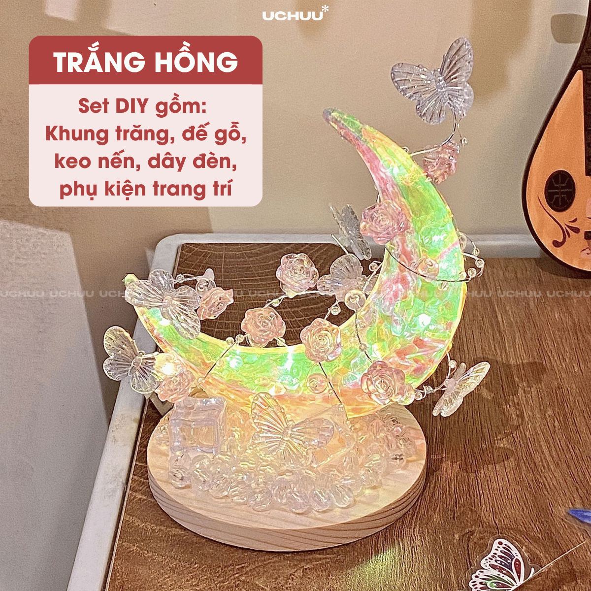 Đèn Trăng Bướm DIY