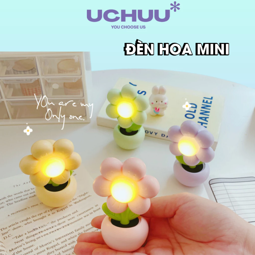Đèn Hoa Mini