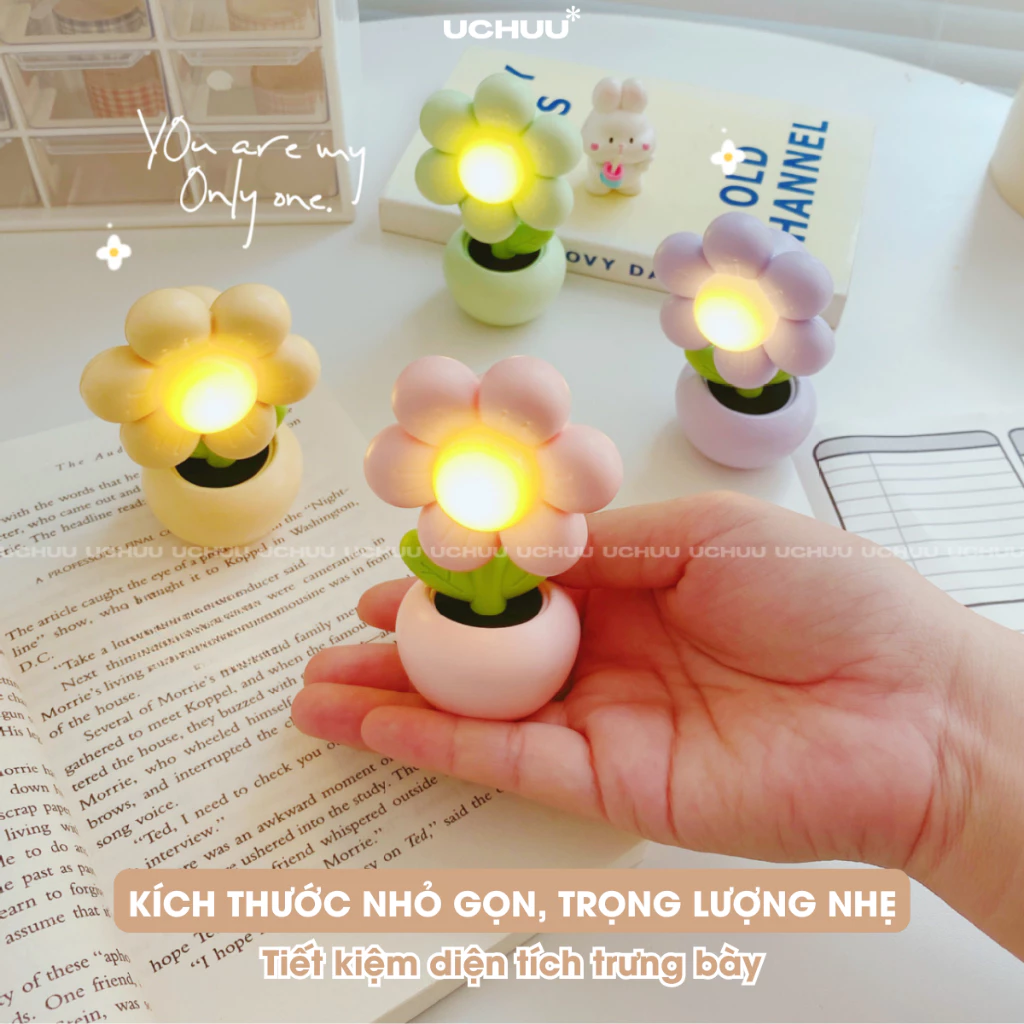 Đèn Hoa Mini