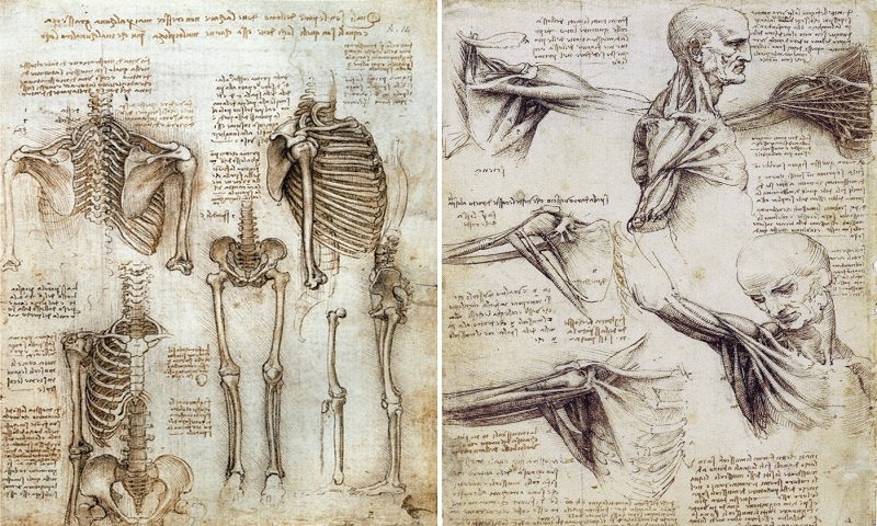 Có gì trong những cuốn sổ tay của Leonardo da Vinci?