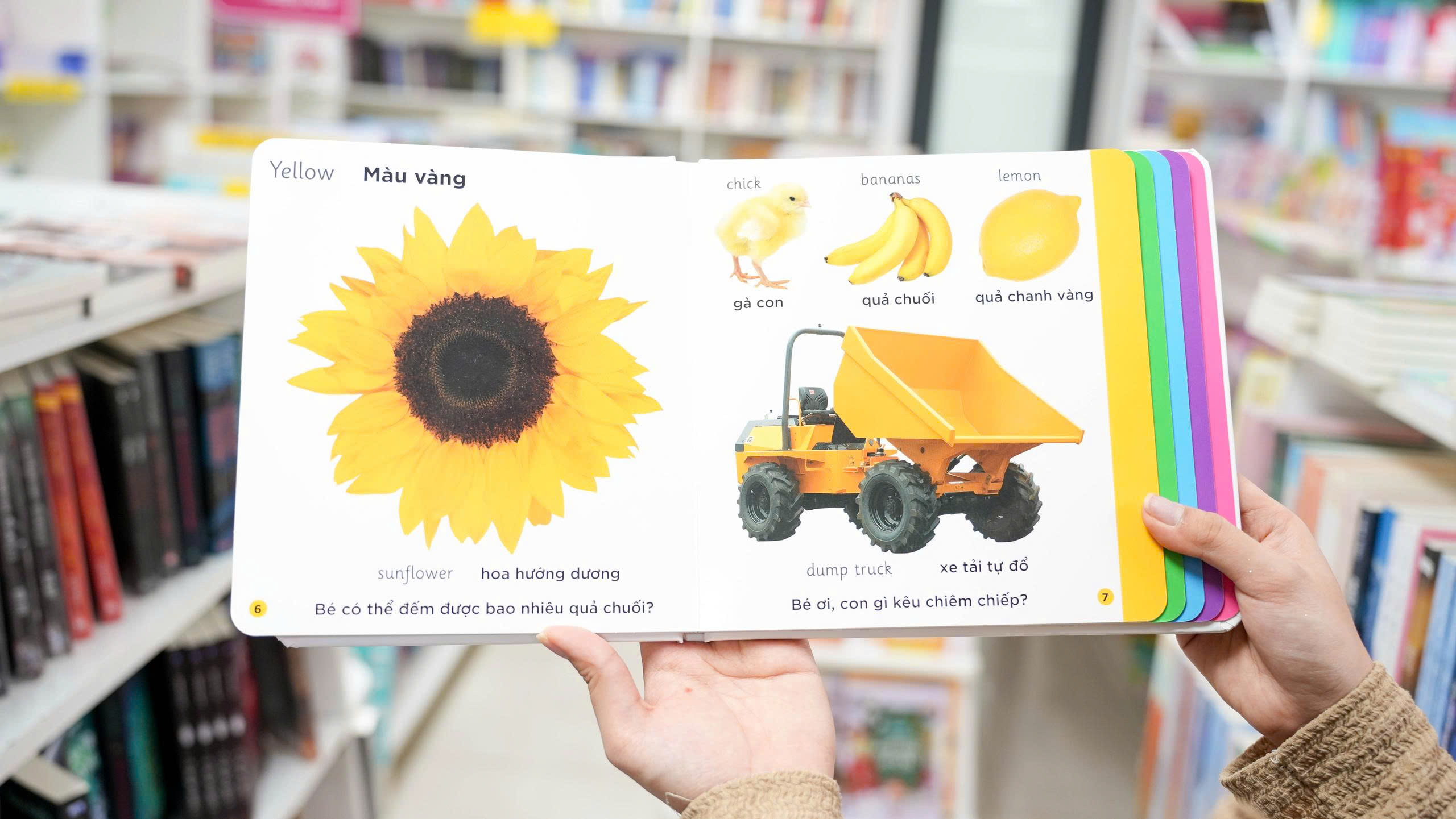Cuốn sách đầu tiên của tớ về: Farm - Nông trại