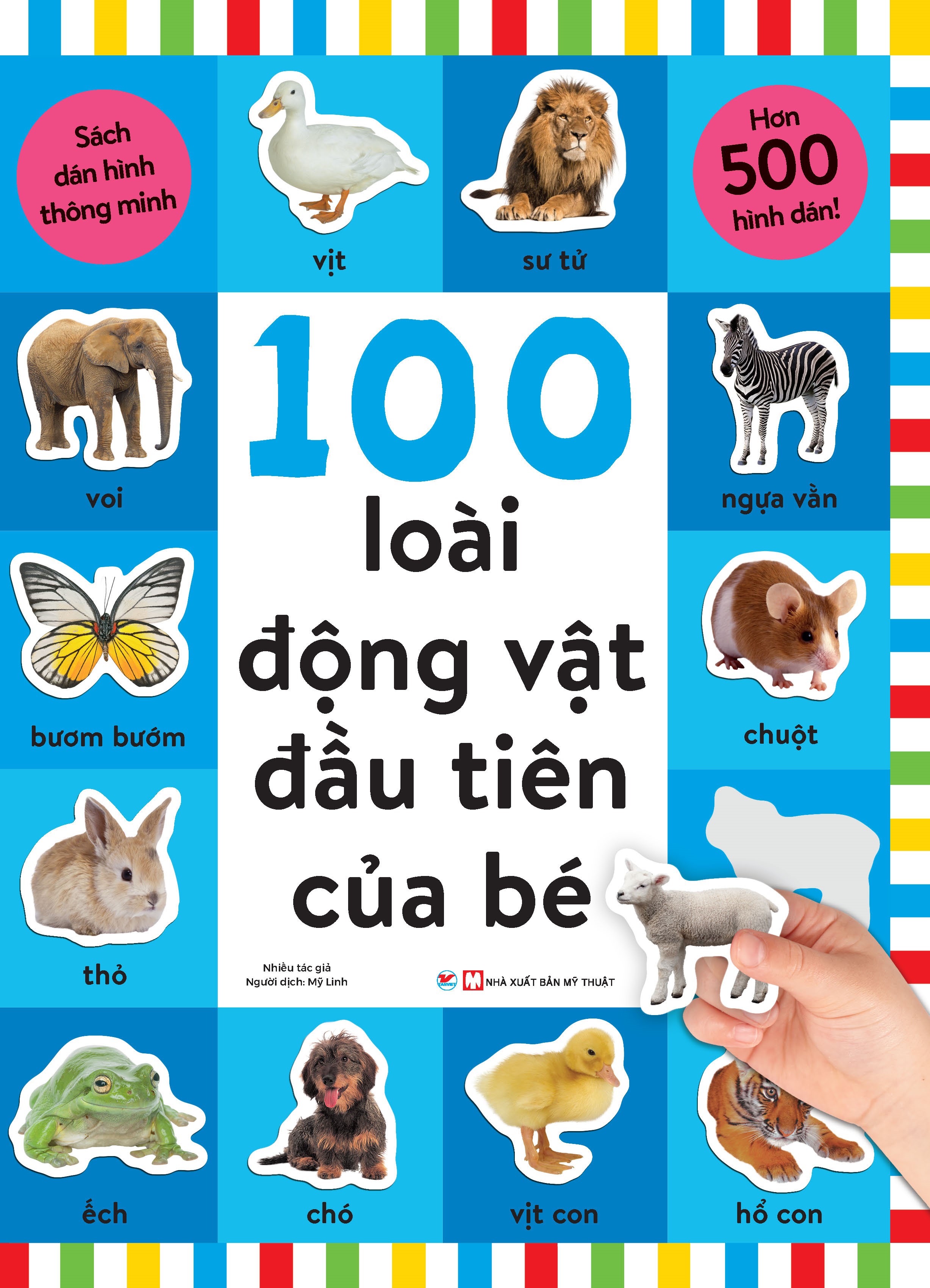 hình ảnh : thiên nhiên, Hoang dã, thú vật, Chuyển động, Động vật hoang dã,  hoang dã, vườn bách thú, con ngựa, Châu phi, bụi bặm, Động vật có vú, đang  chơi,