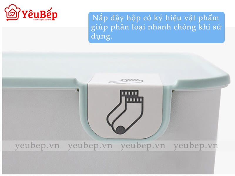 Hộp Bảo Quản Đồ Lót, Tất Bằng Nhựa Gọn Gàng Tủ Quần Áo