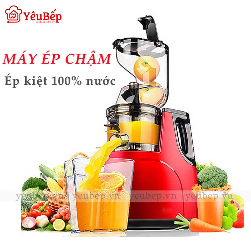 Máy Ep Chậm HongXin RH312 Ép Trái Cây, Rau Củ Quả Giữ Được 100% Vitamin Và 95% Lượng Nước