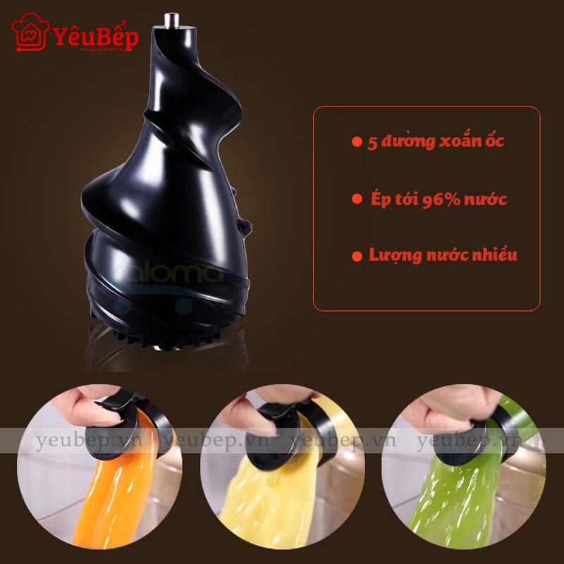 Máy Ep Chậm HongXin RH312 Ép Trái Cây, Rau Củ Quả Giữ Được 100% Vitamin Và 95% Lượng Nước
