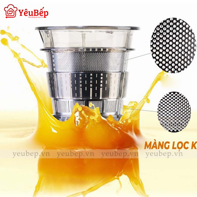 Máy Ep Chậm HongXin RH312 Ép Trái Cây, Rau Củ Quả Giữ Được 100% Vitamin Và 95% Lượng Nước