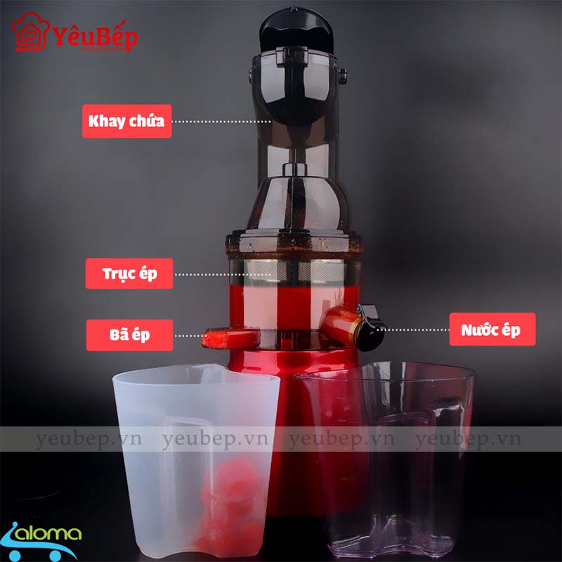 Máy Ep Chậm HongXin RH312 Ép Trái Cây, Rau Củ Quả Giữ Được 100% Vitamin Và 95% Lượng Nước
