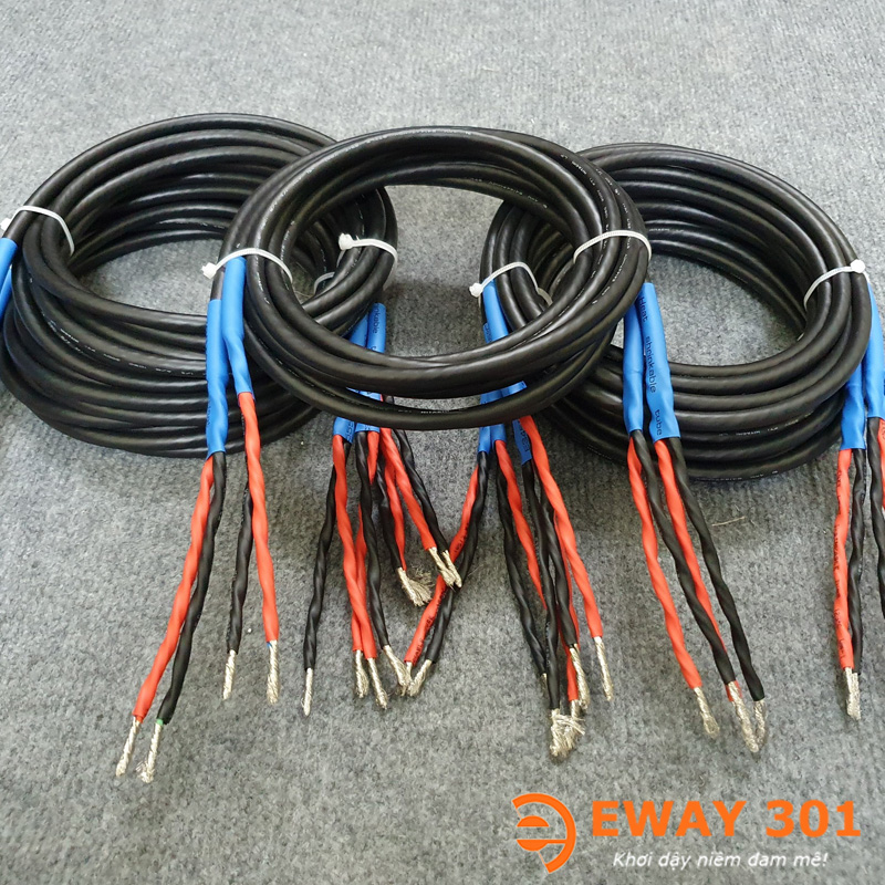 Bộ Dây Loa Hitachi Bãi Nhật Bản 6 Lõi