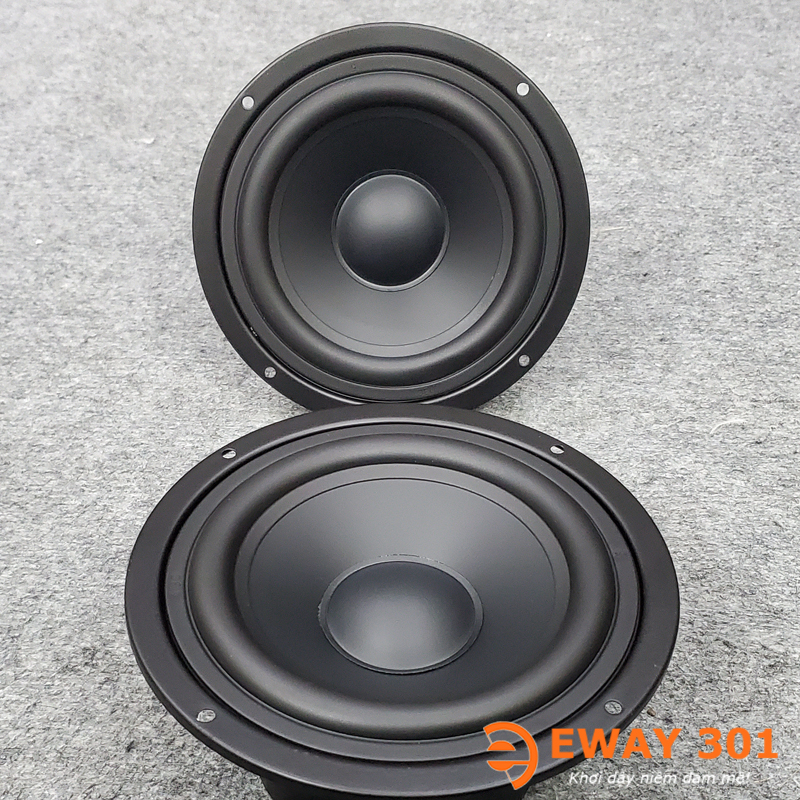 Cặp Loa Trung MID Bọc Khử Từ P6608