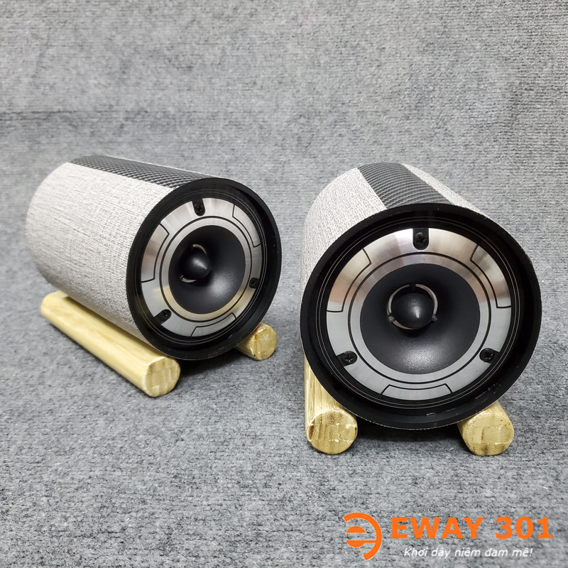 Cặp Loa Super Treble Đầu Đạn Pioneer E1