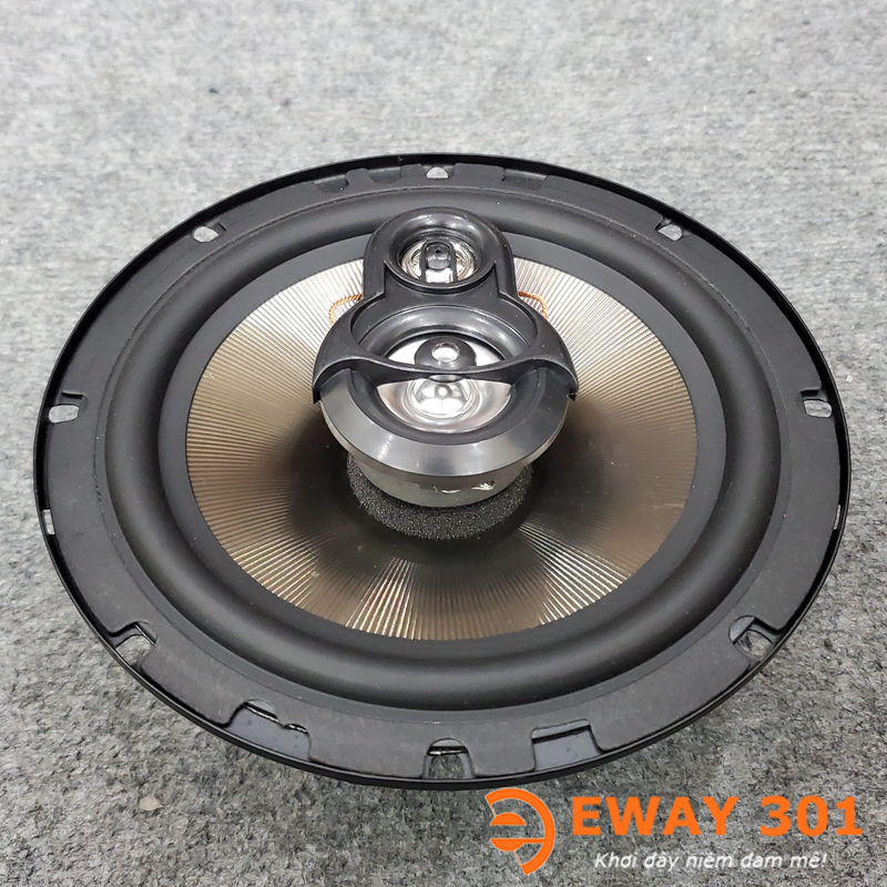 Loa Đồng Trục Pioneer D2000