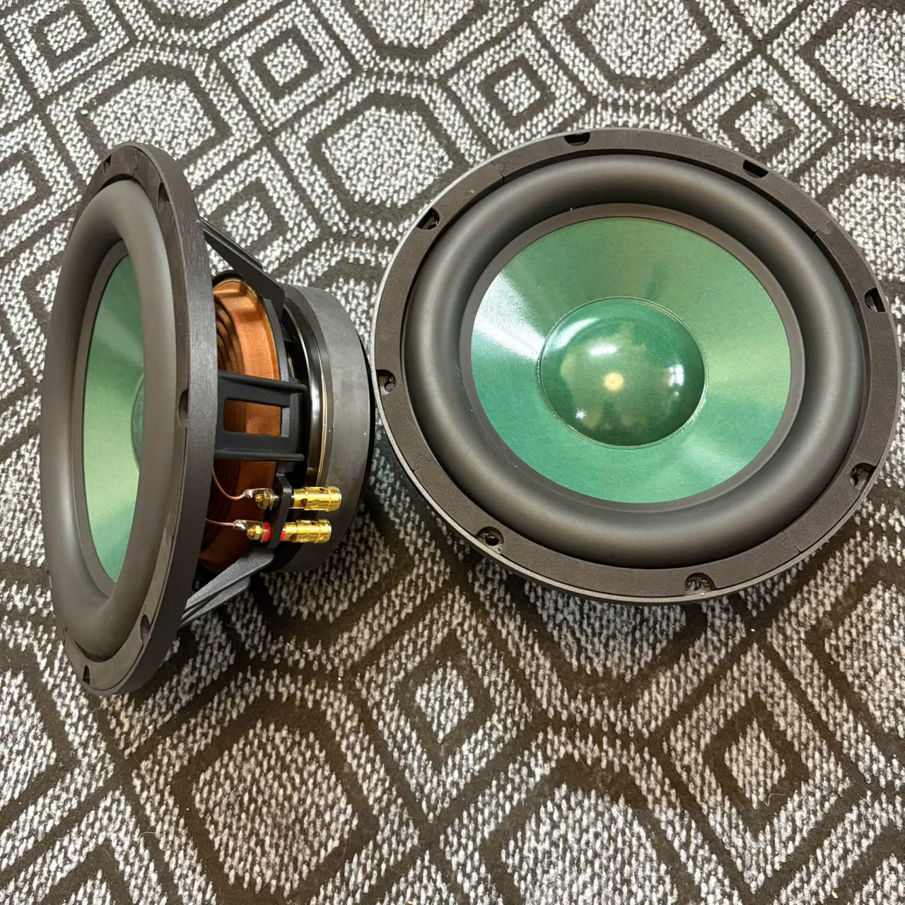 Củ Loa Bass 25 Màng Xanh - Tiếng Trầm Dày Dặn (1 cặp)