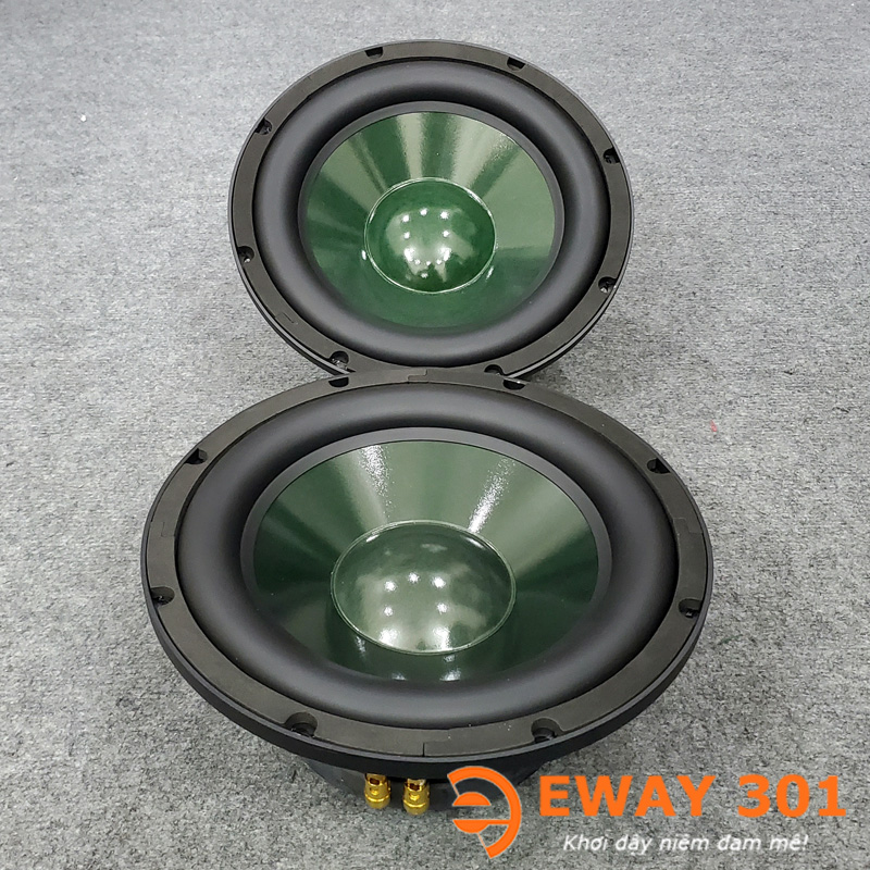 Cặp Loa Bass 25 P8825 Chính Hãng