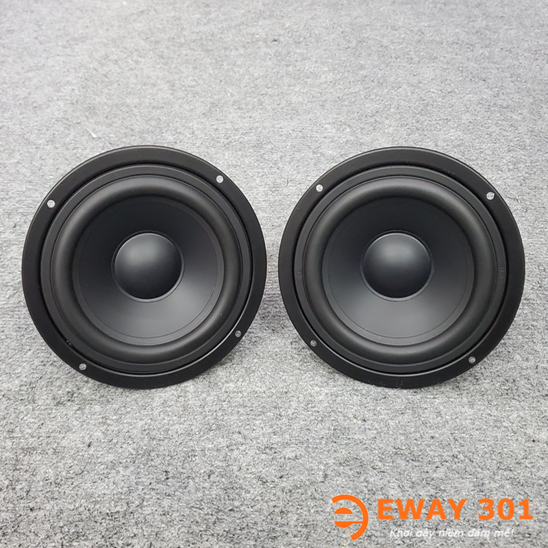 Cặp Loa Trung MID Bọc Khử Từ P6608