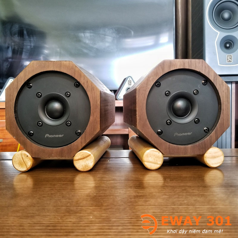 Cặp Loa Treble Pioneer P03 Lắp Vỏ Gỗ Bát Giác Độc Đáo