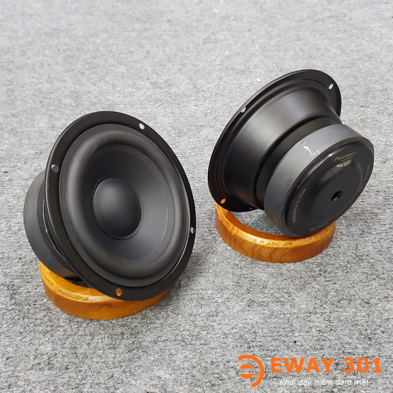 Cặp Loa Trung P8810