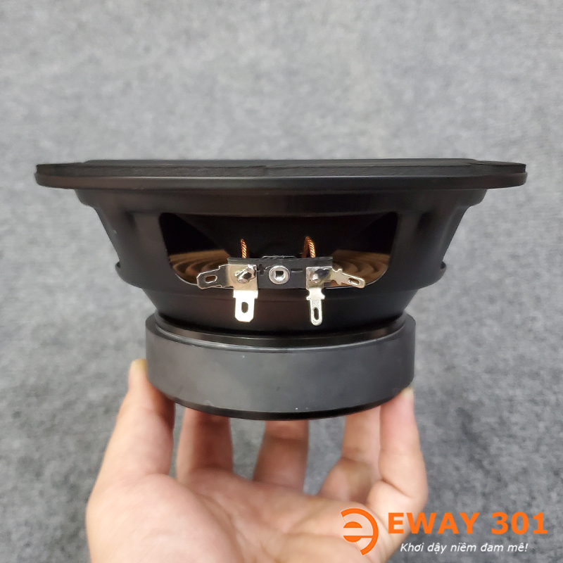 Cặp Loa MID BASS 16 P8816