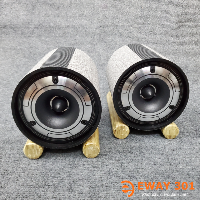 Cặp Loa Super Treble Đầu Đạn Pioneer E1