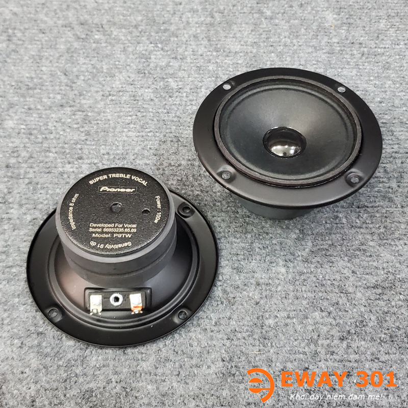 Loa Treble P9TW Màng Giấy Củ Rời