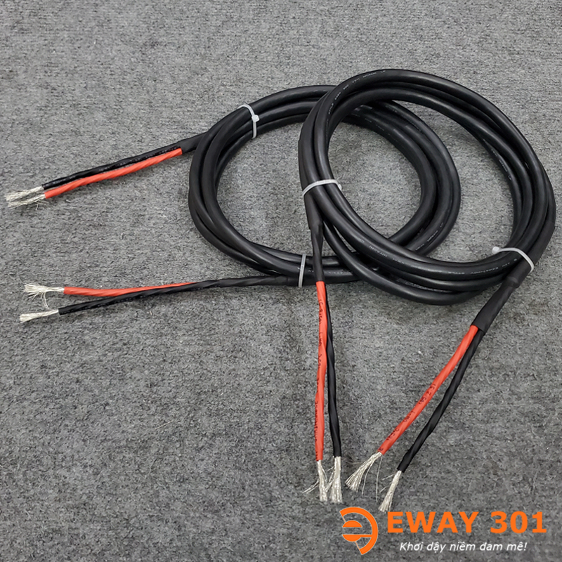 Bộ Dây Loa Hitachi Bãi Nhật Bản 12 Lõi