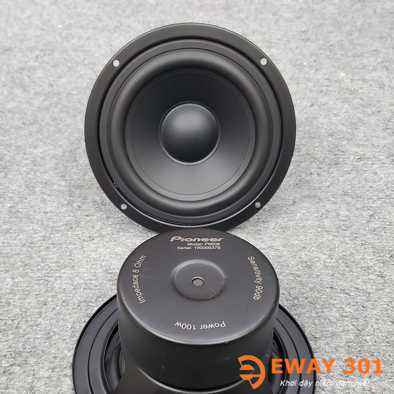 Cặp Loa Trung MID Bọc Khử Từ P6608