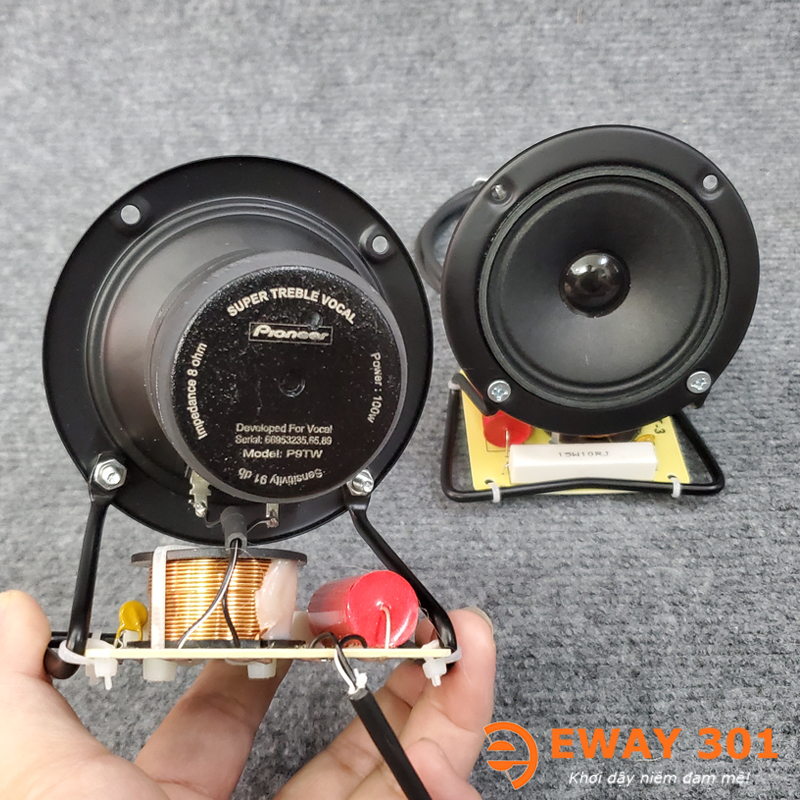Cặp Loa Treble Màng Giấy Pioneer P9TW Tích Hợp Phân Tần