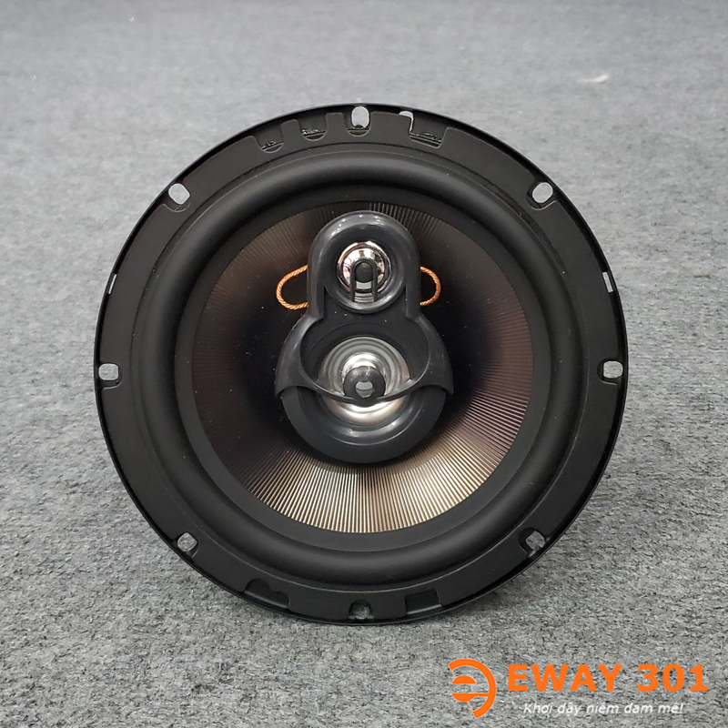 Loa Đồng Trục Pioneer D2000