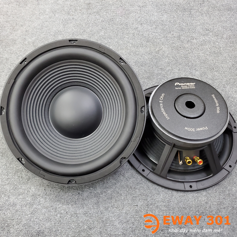 Cặp Loa Bass 30 P8830