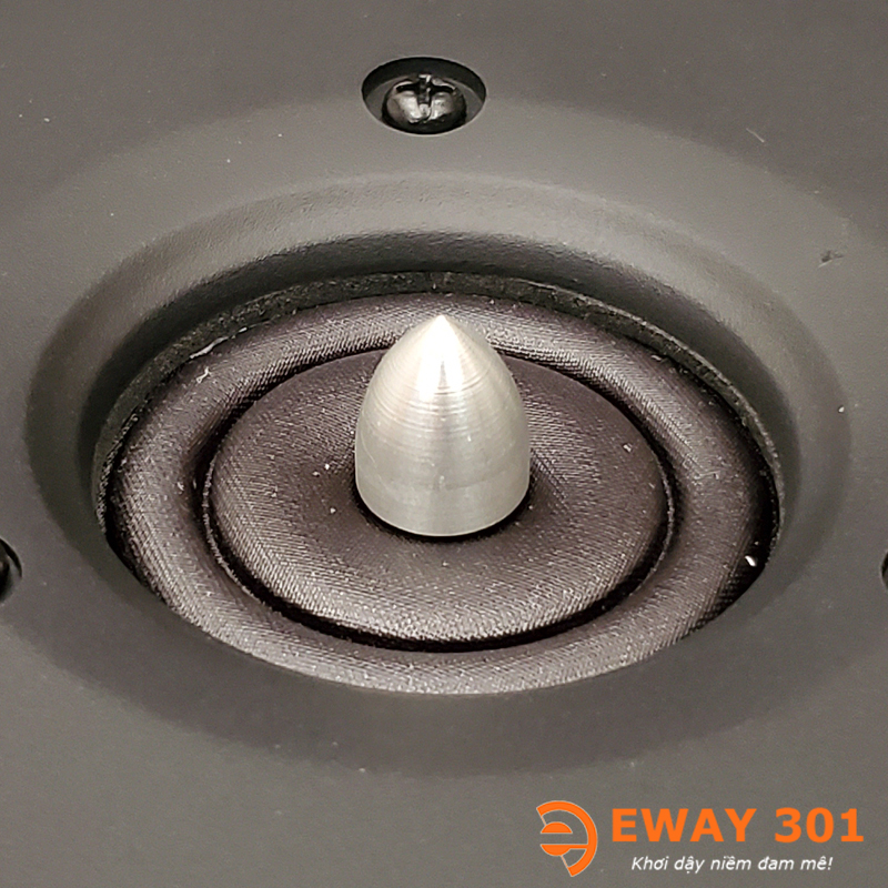 Cặp Loa Treble WT-A800