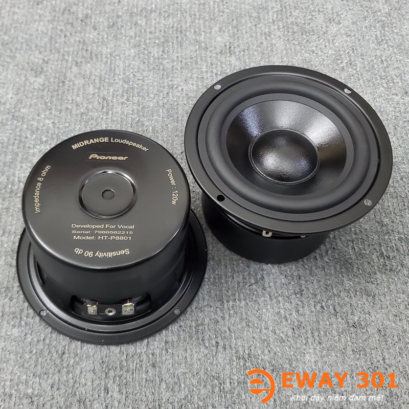 Cặp Loa Trung MID 10 Bọc Khử Từ HT-P8801