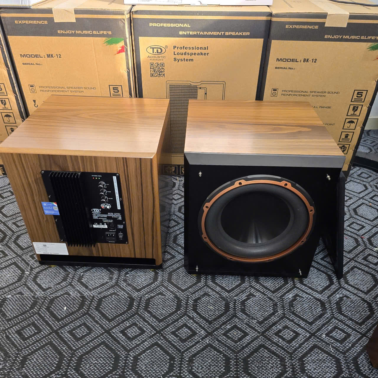 Mẫu Loa Sub Âm Trầm SUB-12TD+ - TD Acoustic