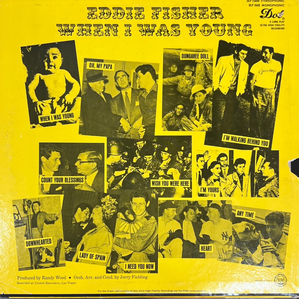 thuê vinyl Eddie Fisher – When I Was Young