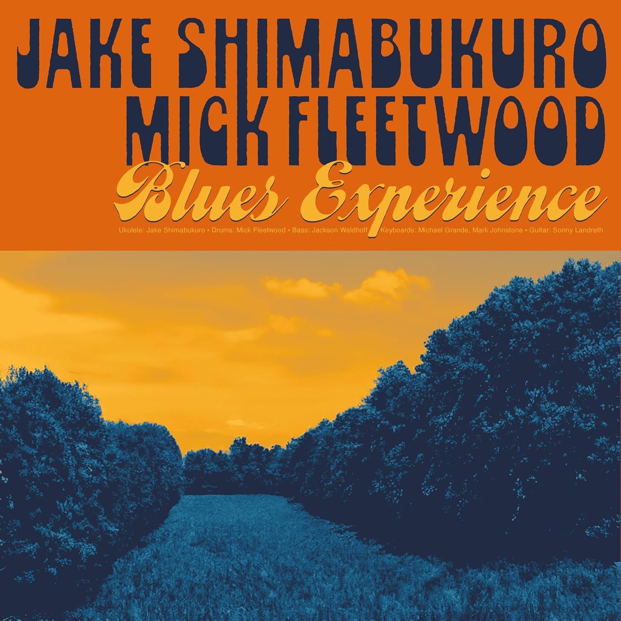 Vinyl Jake Shimabukuro & Mick Fleetwood - Blues Experience (180g LP)