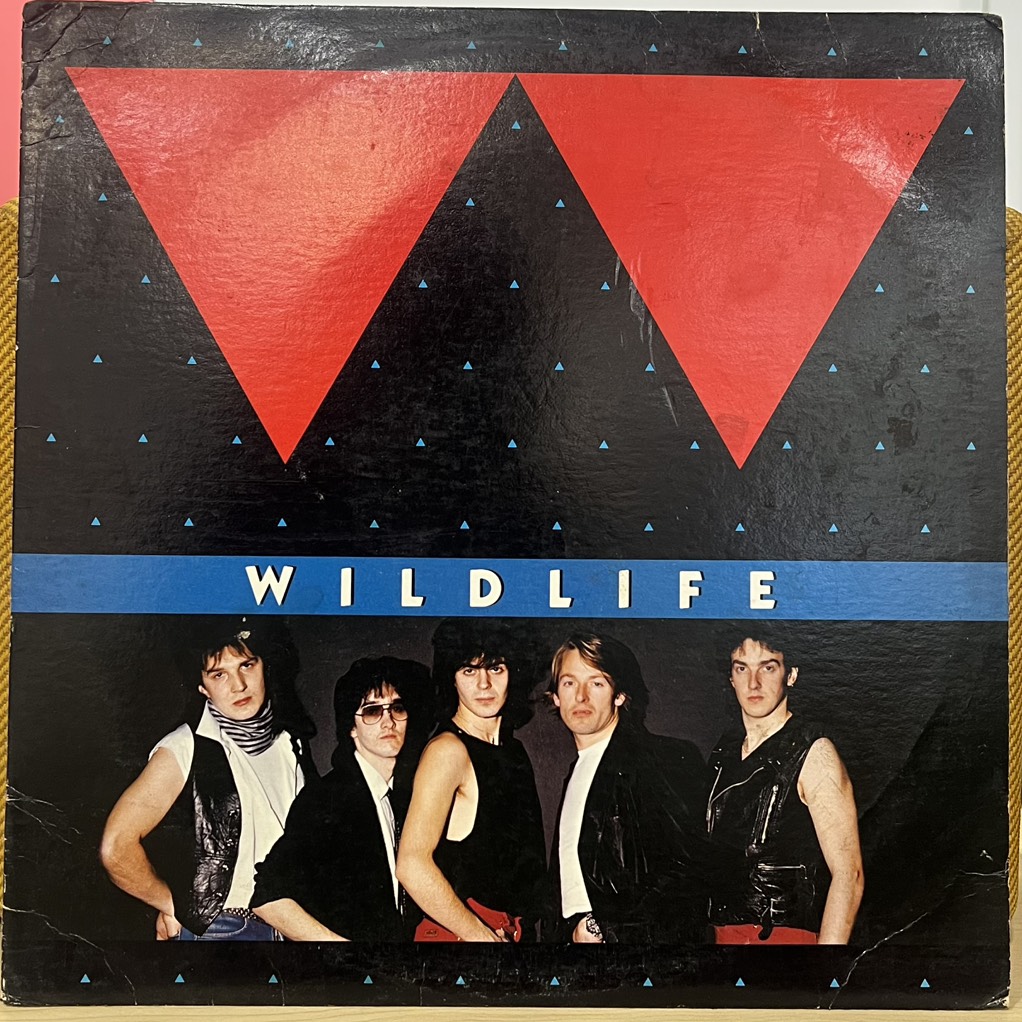 vinyl Wildlife