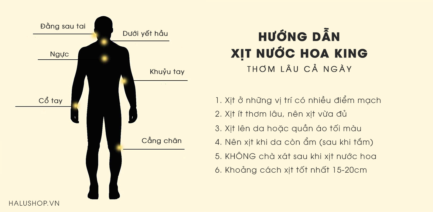 Nước hoa King sẽ thơm lâu hơn khi bạn xịt đúng các vị trí trên