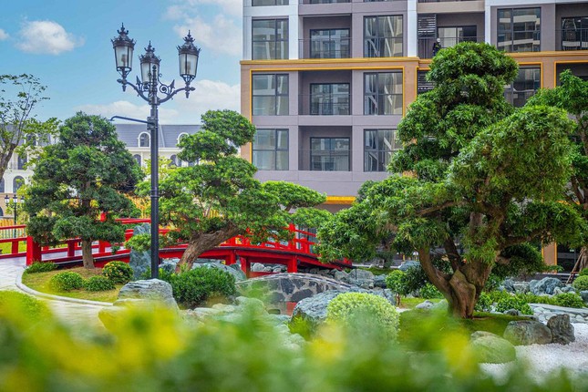 Khám phá một “Nhật Bản thu nhỏ” tại Vinhomes Ocean Park và triết lý Zen giữa đô thị