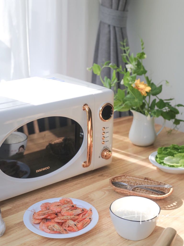 LÒ VI SÓNG RETRO DAEWOO DY-WB02