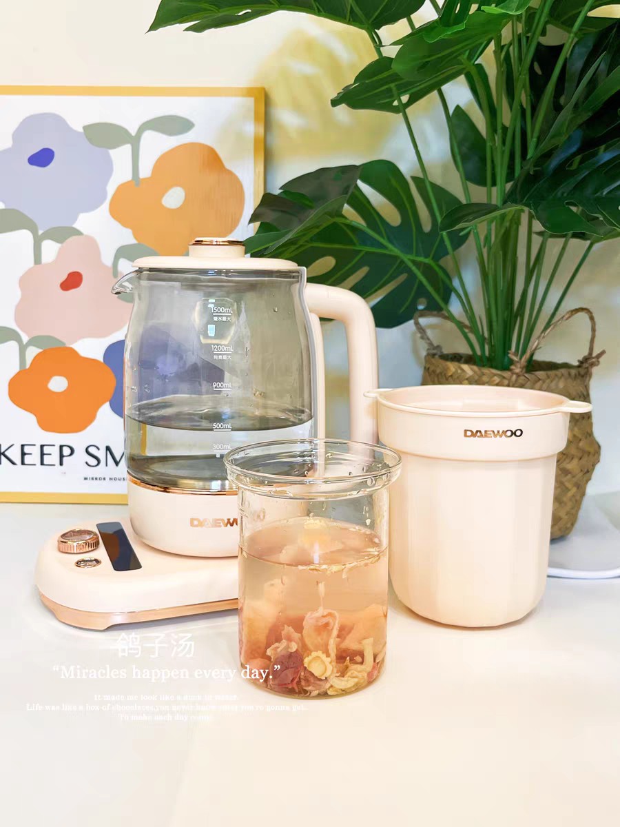 ẤM DƯỠNG SINH ĐA NĂNG ĐUN CHƯNG NẤU HẤP 4IN1 DAEWOO YS08