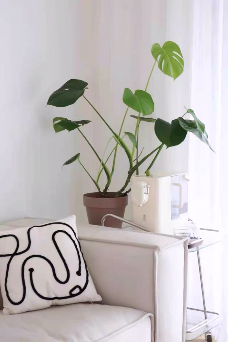 MÁY NƯỚC NÓNG TỨC THÌ LỌC RO 2 CẤP BLAUPUNKT DM01