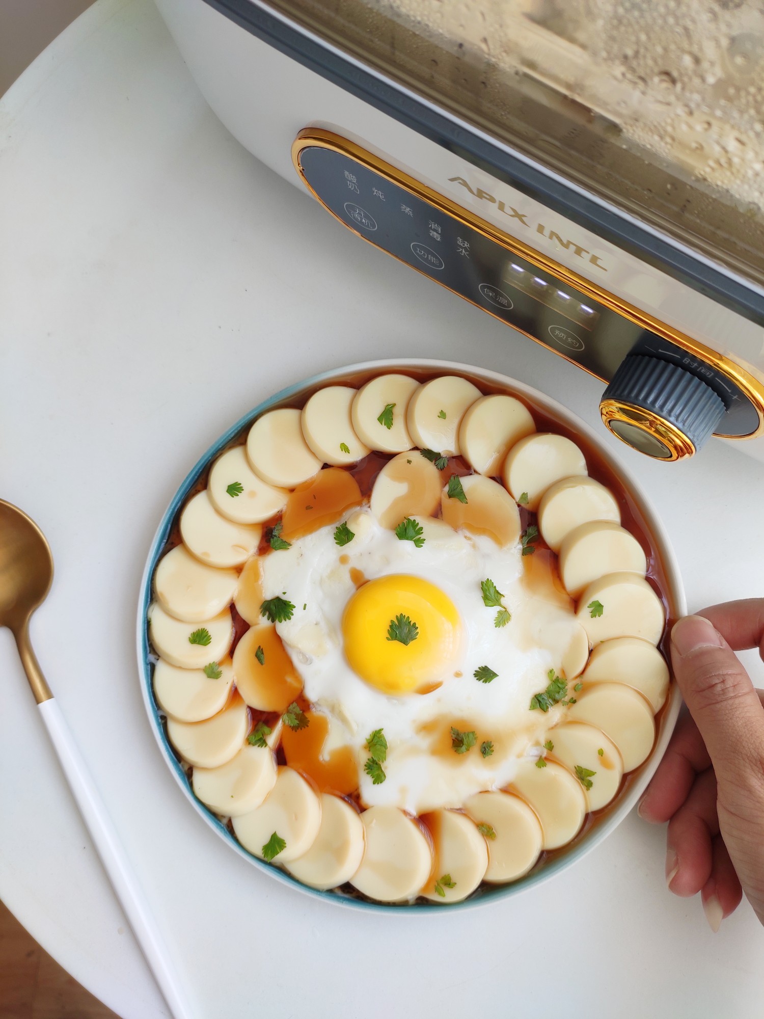 NỒI HẤP ĐIỆN ĐA NĂNG 5L APIXINTL