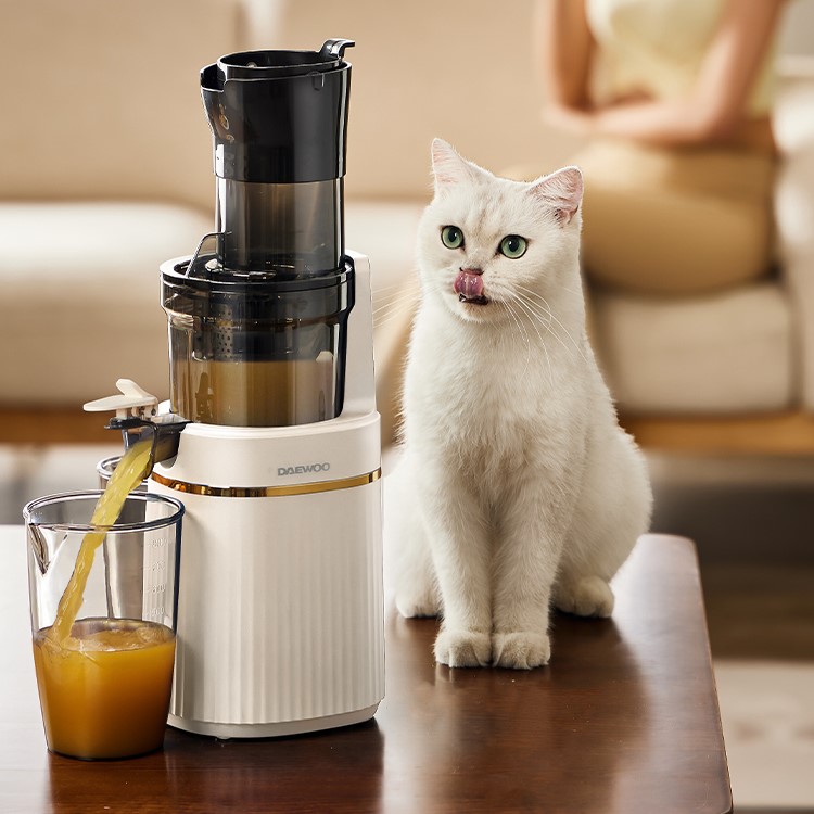 [Chính hãng] [Có bảo hành] [Có sẵn] MÁY ÉP CHẬM CỔ RỘNG HIỆU NĂNG CAO DAEWOO BM07