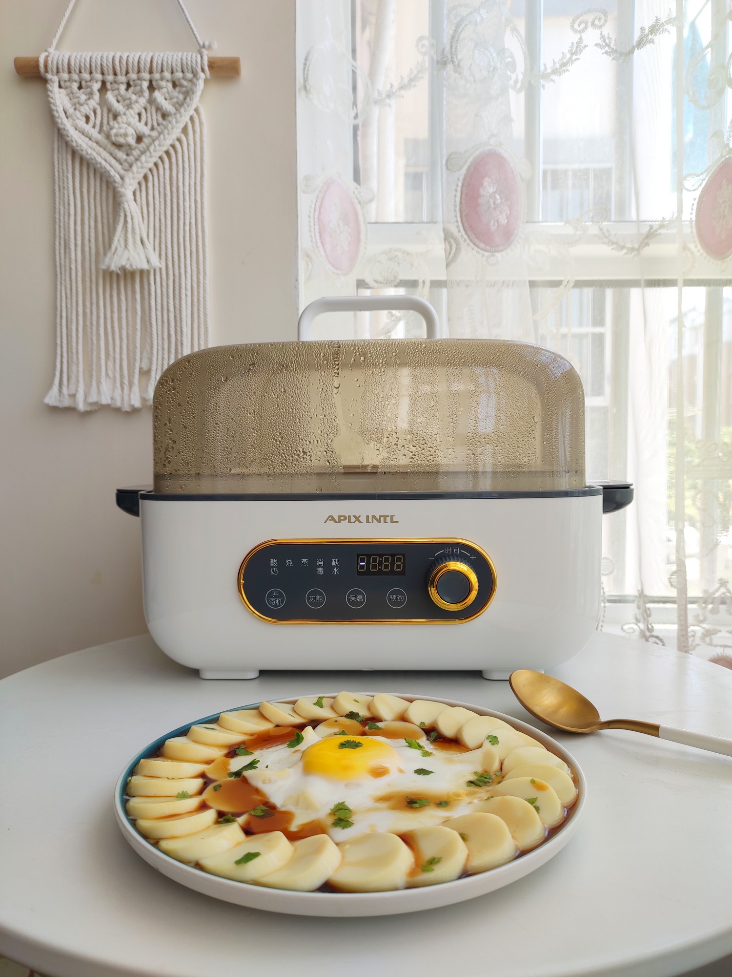 NỒI HẤP ĐIỆN ĐA NĂNG 5L APIXINTL