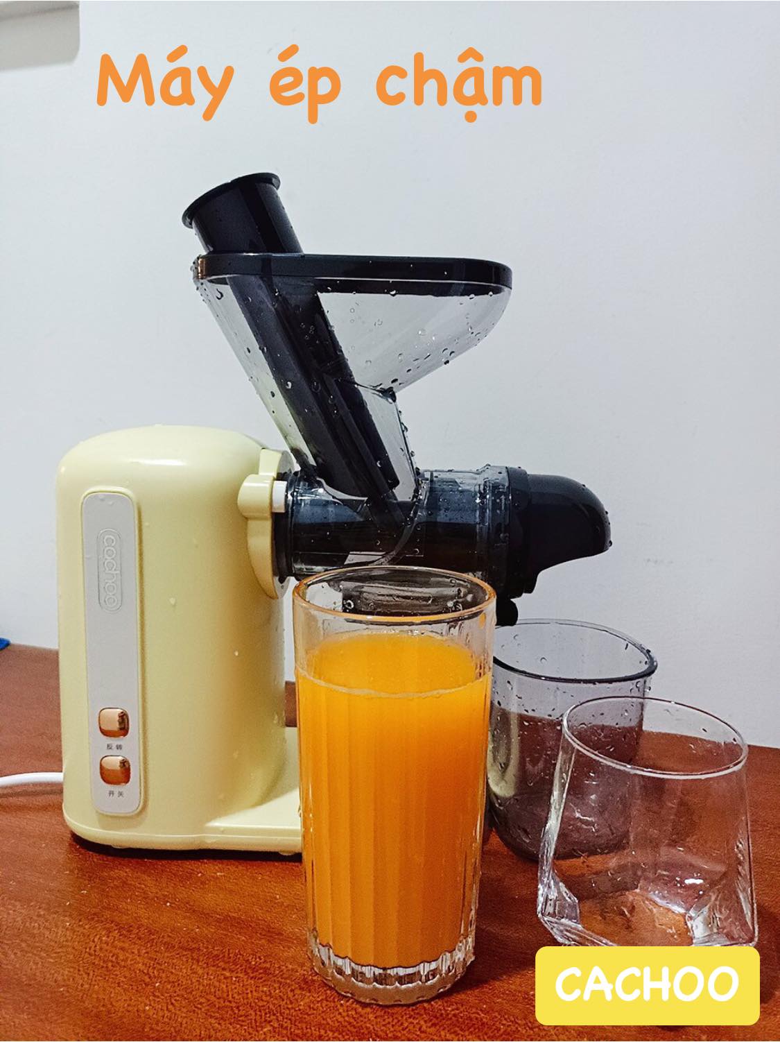 MÁY ÉP CHẬM TRỤC NGANG MINI CACHOO CQ8