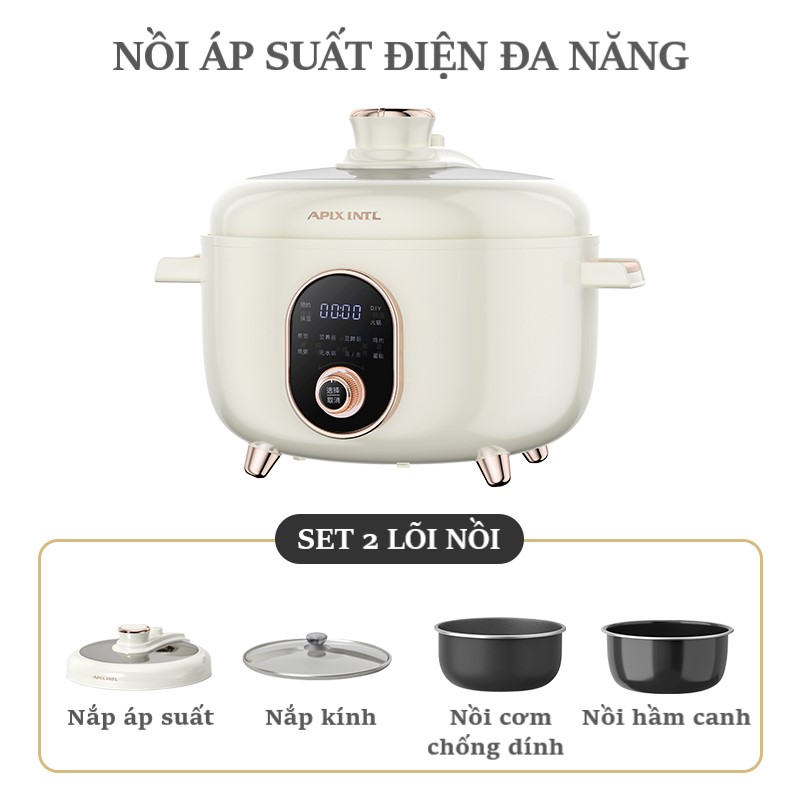 NỒI ÁP SUẤT ĐIỆN APIXINTL 4L