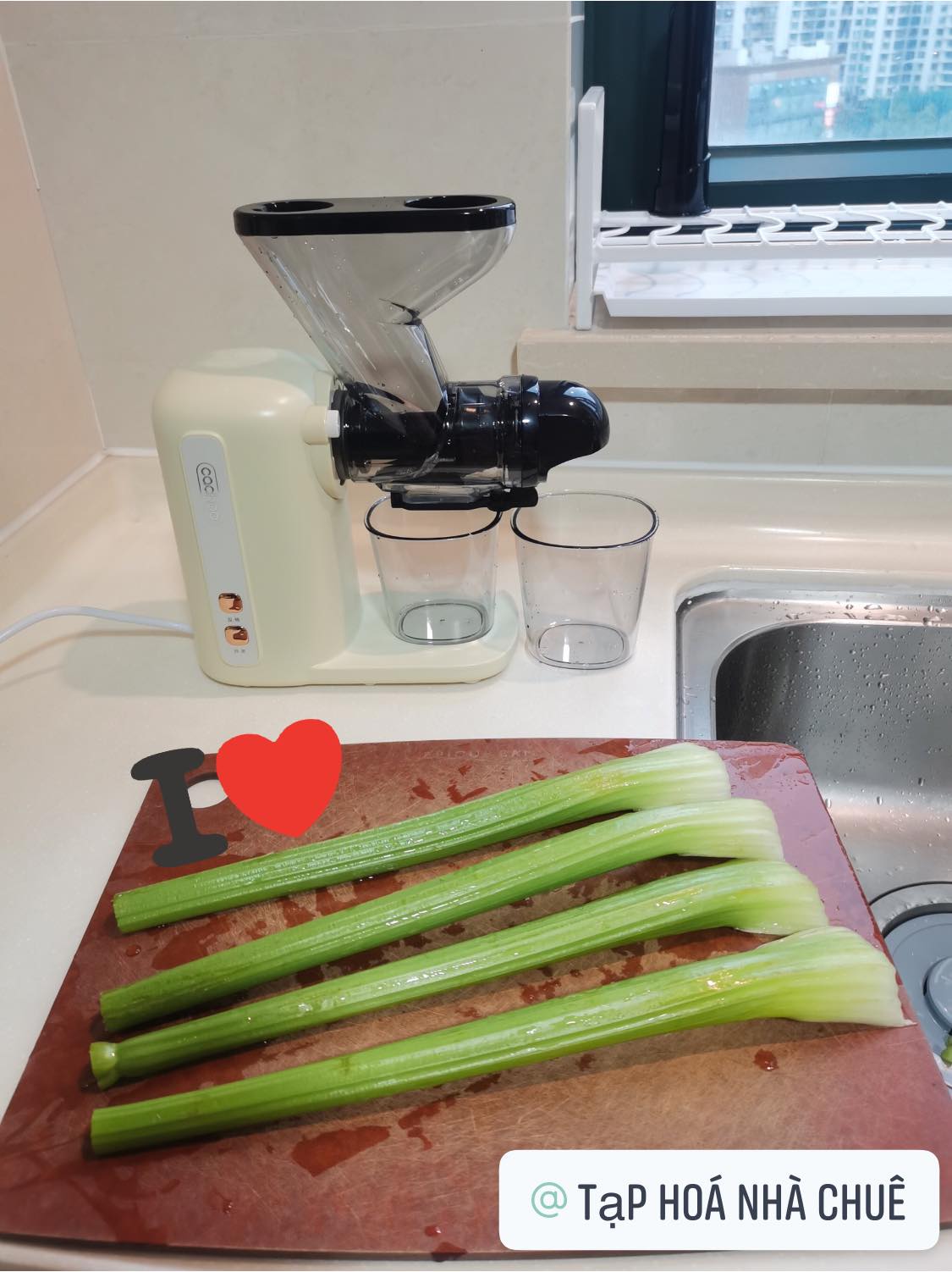 MÁY ÉP CHẬM TRỤC NGANG MINI CACHOO CQ8