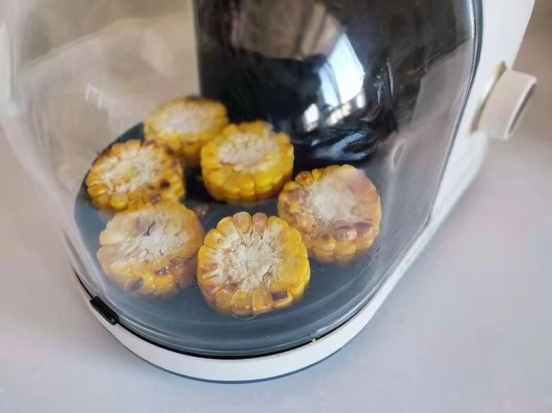 Lò chiên nướng chân không Blaupunkt