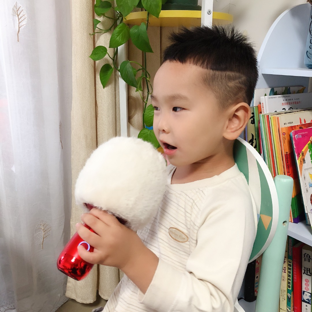 MIC hát Karaoke Bluetooth G2