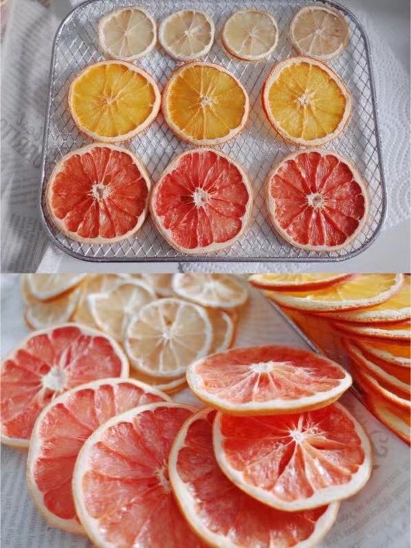 MÁY SẤY THỰC PHẨM MORPHY RICHARDS MR6255