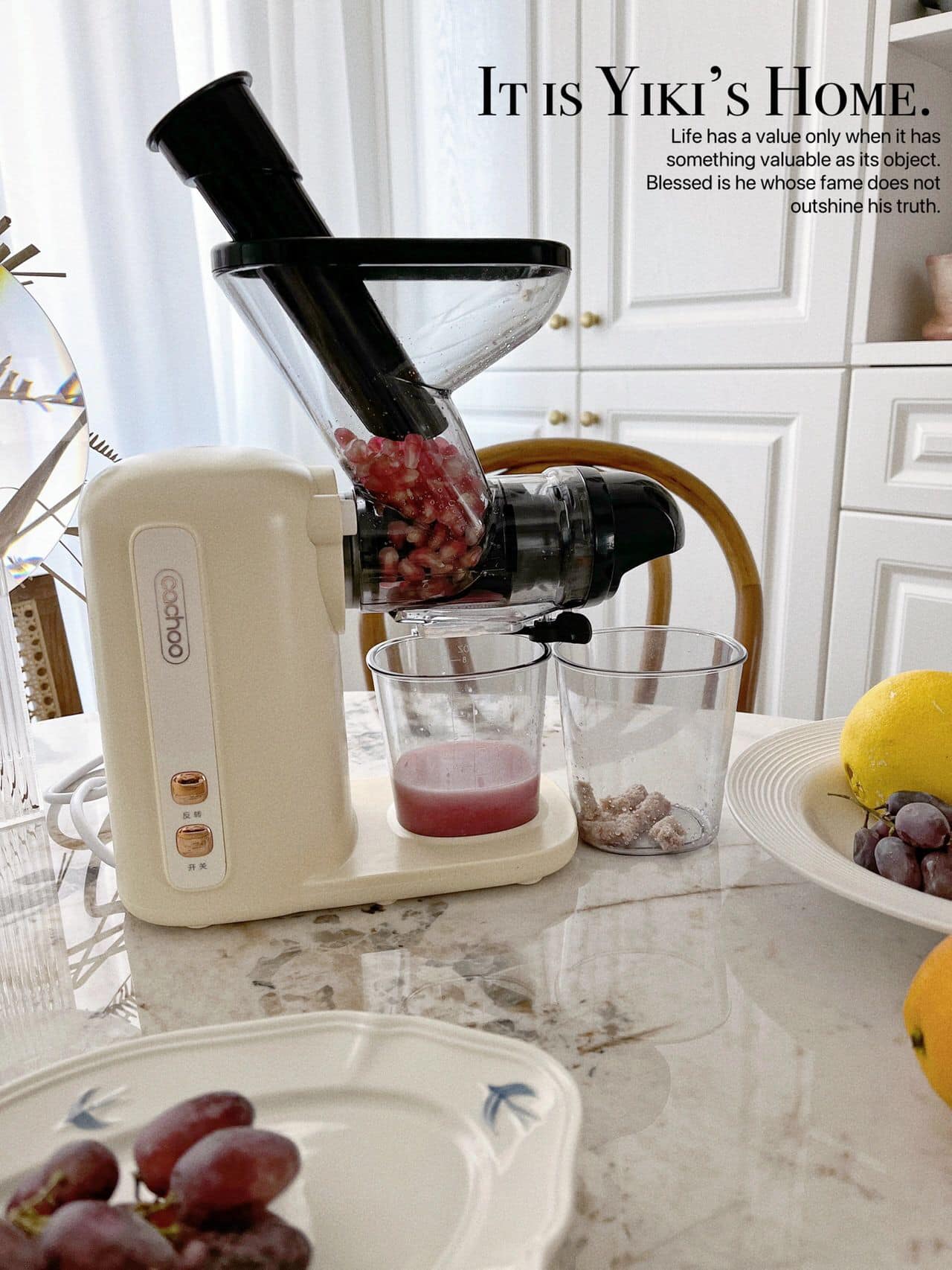 MÁY ÉP CHẬM TRỤC NGANG MINI CACHOO CQ8