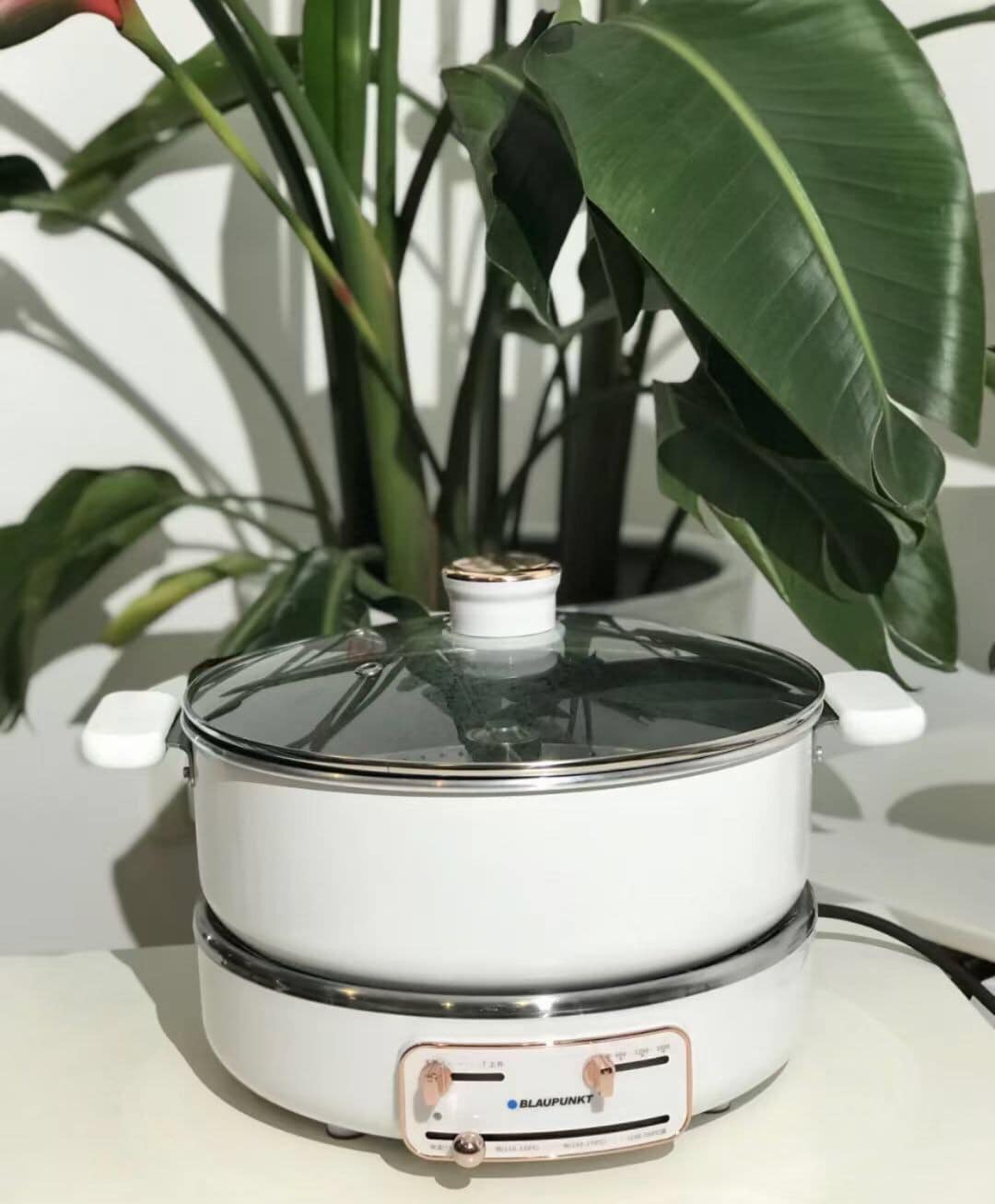 BẾP LẨU NÂNG HẠ TỰ ĐỘNG